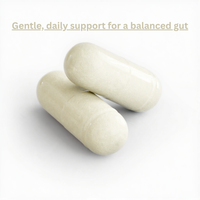 Digestive Enzyme Premium Blend